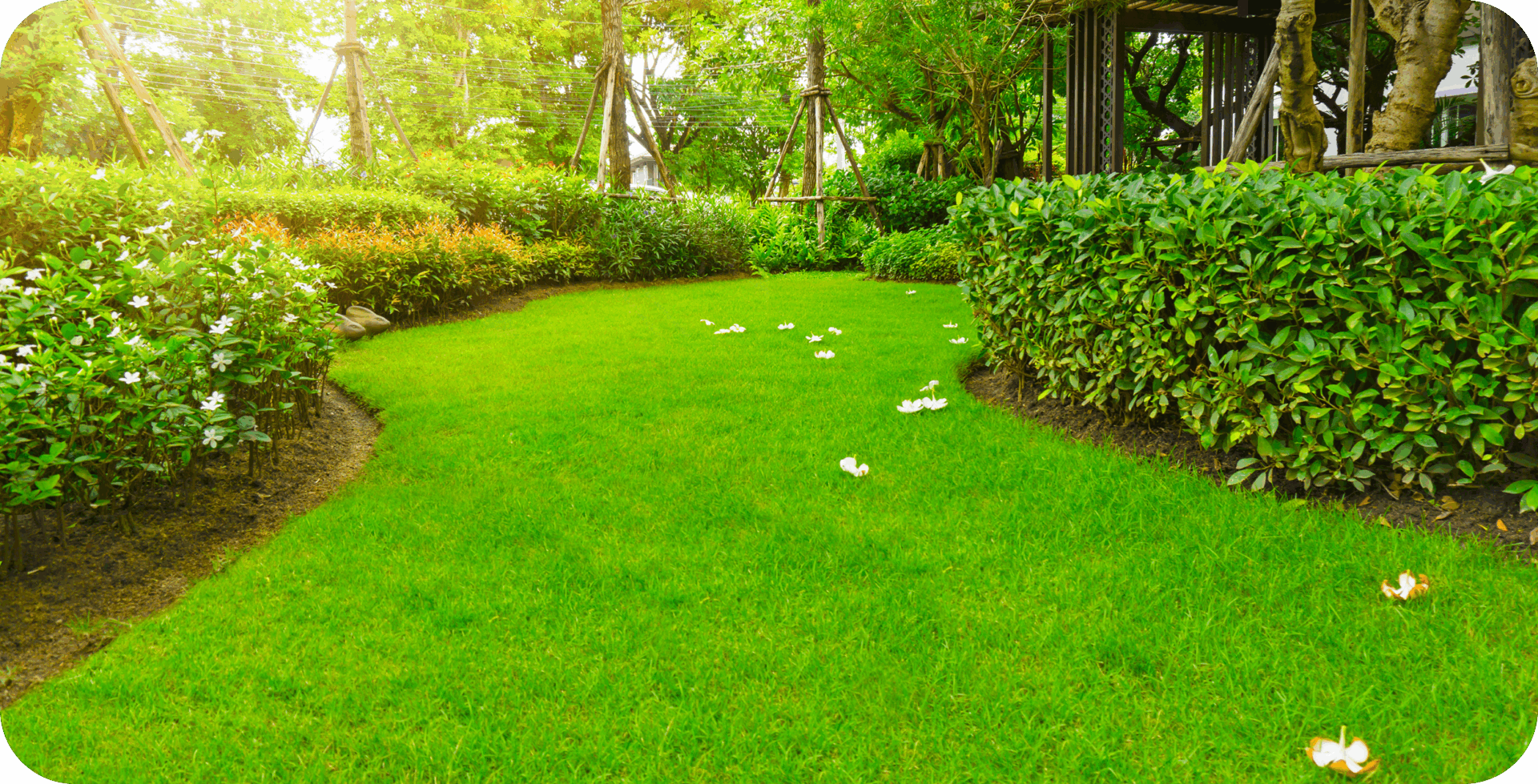 Sunny garden with manicured lawn and flowers