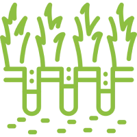 Stylized plants with roots illustration
